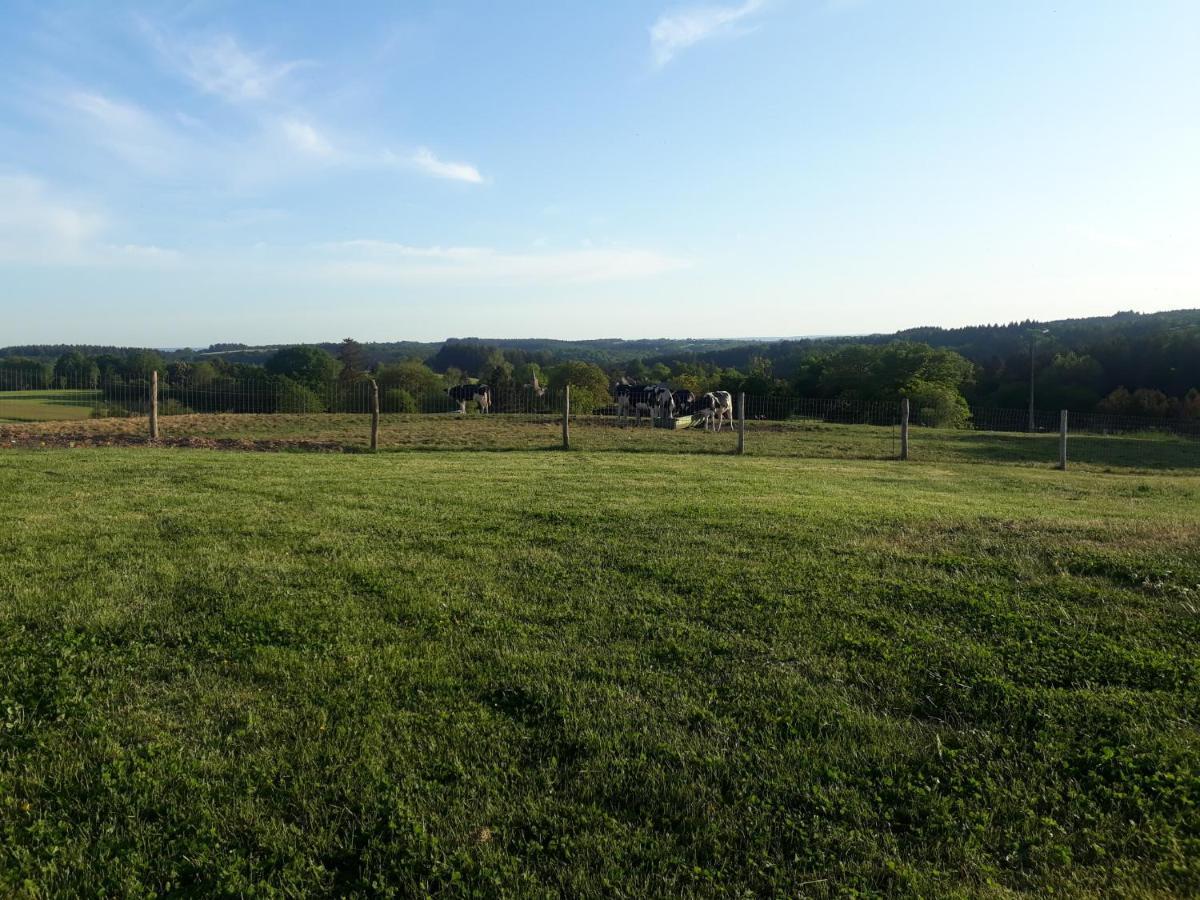 L'Harmonie Du Jardin Gite Chevetogne Exterior foto